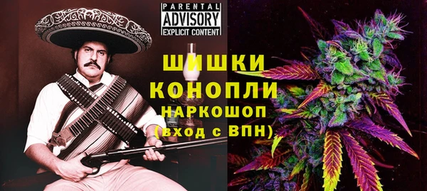 ешки Гусь-Хрустальный
