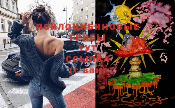 мескалин Нефтегорск