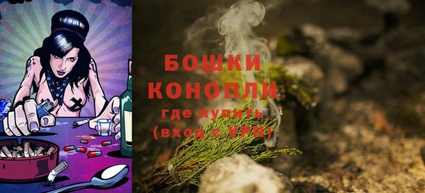 крисы Нея