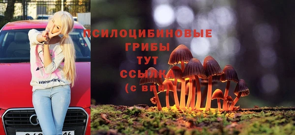 молекула духа Нягань
