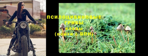 ECSTASY Гусиноозёрск