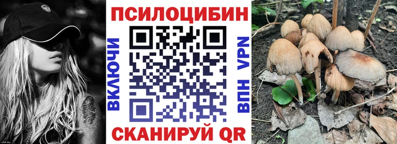 kraken рабочий сайт Пестово Псилоцибиновые грибы ЛСД